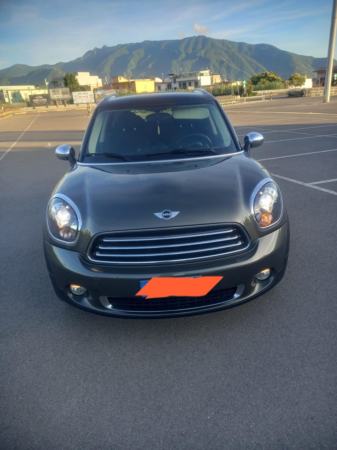 Mini Countryman 4x4 2014