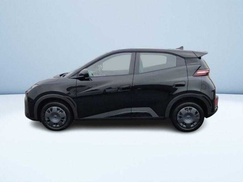 BYD Dolphin Surf Active