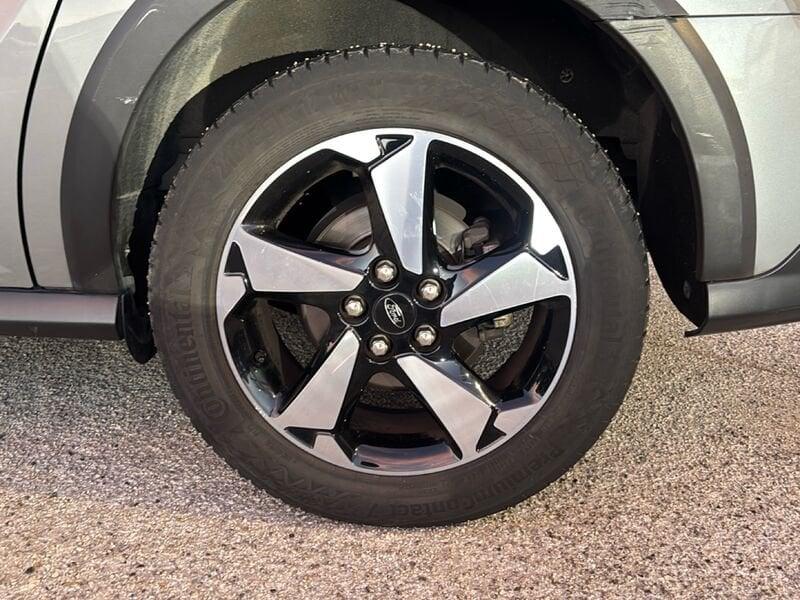 Ford Tourneo Connect Gran Tourneo Connect Active 1.5 EcoBlue 120 CV S&S Aut.