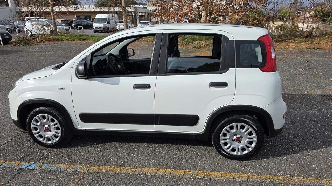 Fiat Panda Van 4 posti 1.0 FireFly S&S Hybrid