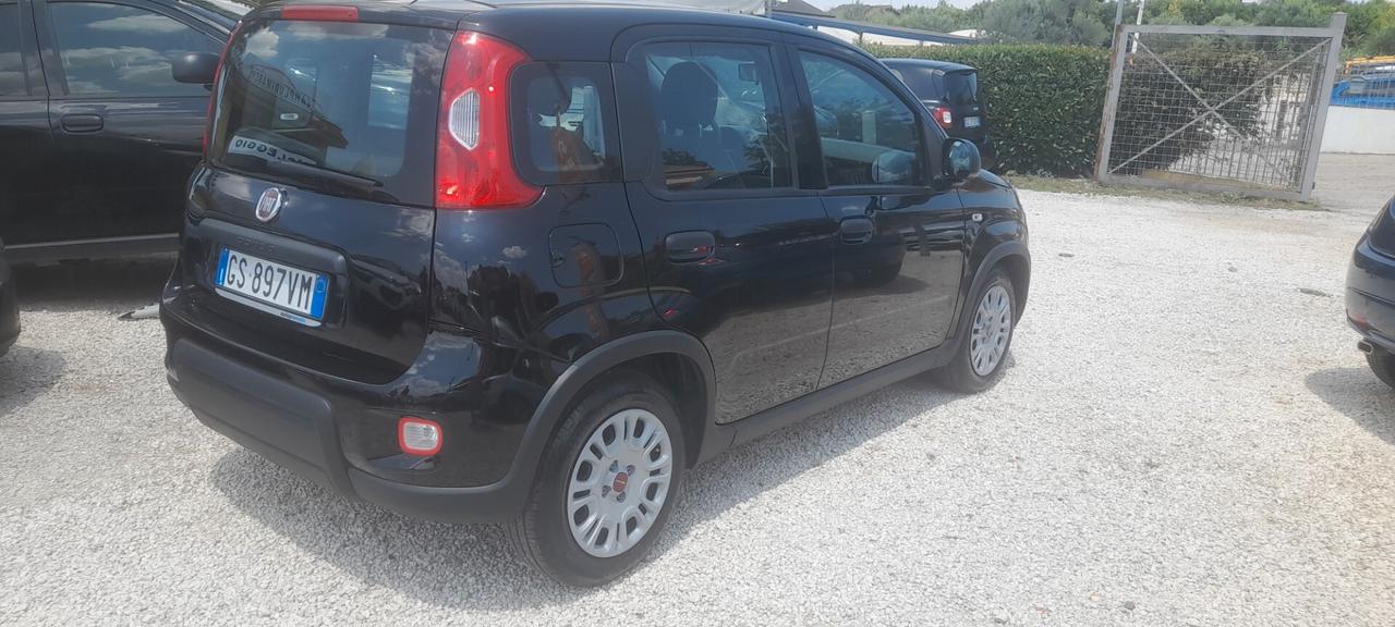 Fiat Panda 1.0 FireFly S&S Hybrid