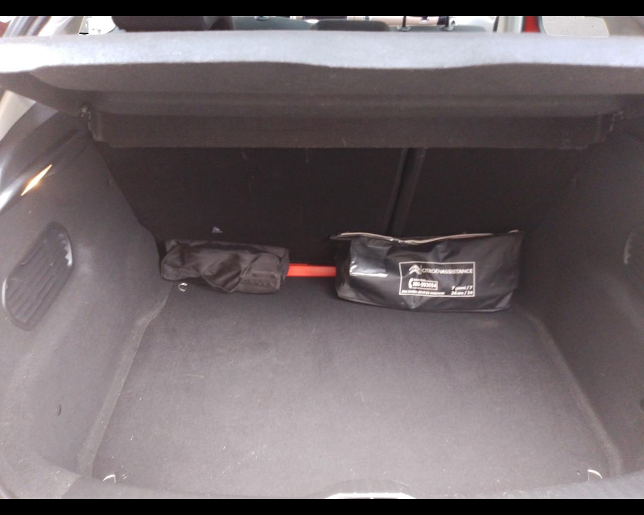 CITROEN C4 Cactus - BlueHDi 100 Shine