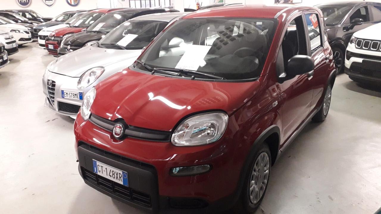 Fiat Panda 1.0 FireFly S&S Hybrid