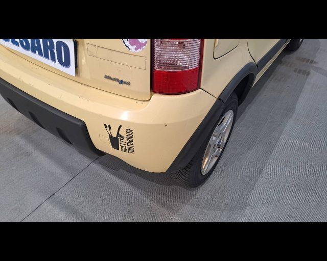 FIAT Panda 1.3 mjt 16v Climbing 4x4