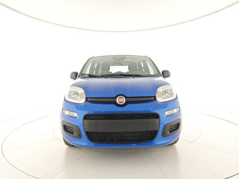 FIAT Panda 1.0 FireFly S&S Hybrid +Vernice + kit 5 posti + Pack city