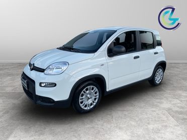 FIAT Panda III 2024 - Panda 1.0 firefly hybrid s&s 70cv