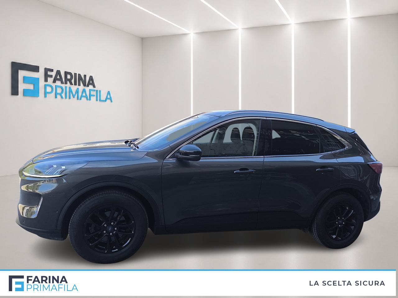 FORD Kuga III 2020 - Kuga 1.5 ecoblue Titanium Business 2wd 120cv