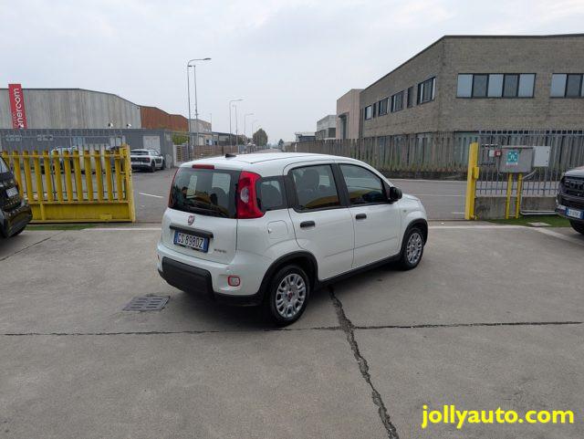 FIAT Panda 1.0 FireFly S&S Hybrid PACK COMFORT PLUS