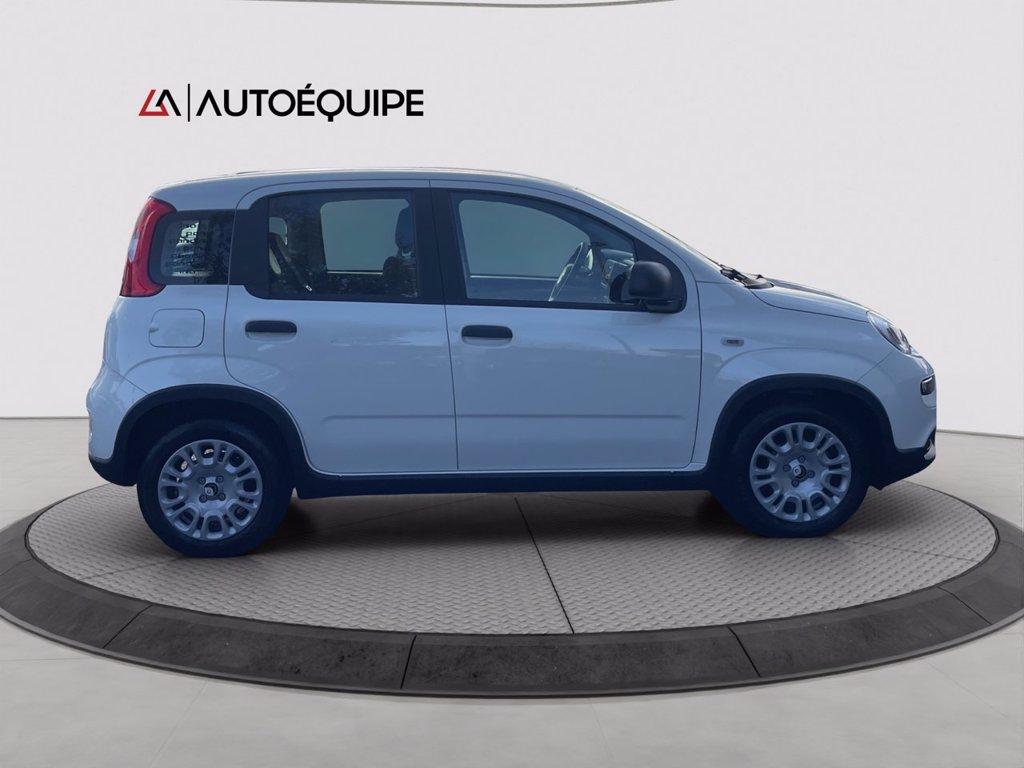 FIAT Panda 1.0 firefly hybrid s&s 70cv 5p.ti del 2024