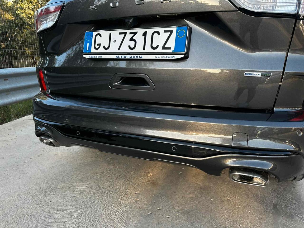 Ford Kuga 2.0 EcoBlue Hybrid 150 CV 2WD ST-Line