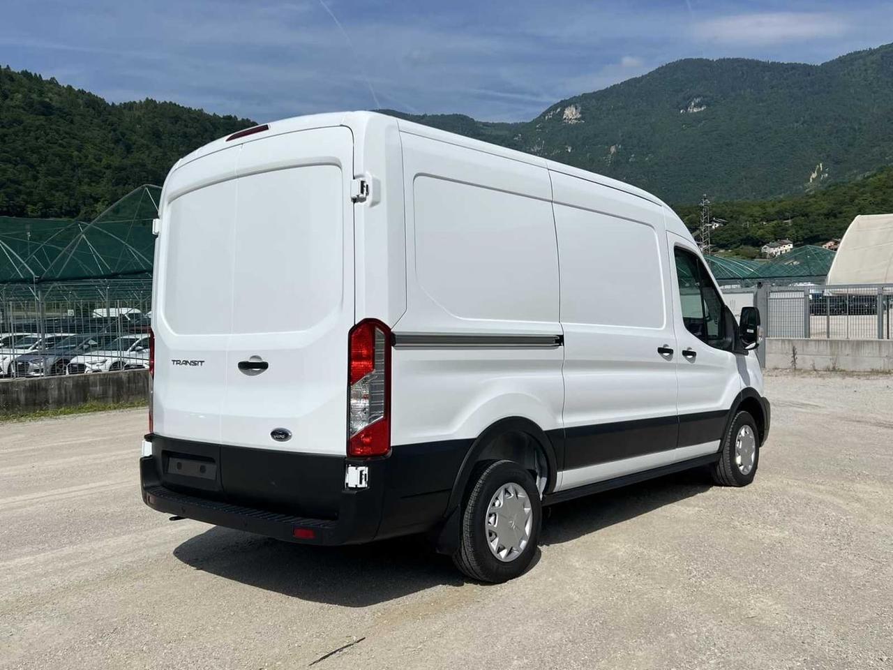 Ford Transit 2.0 TDCi EcoBlue 130CV Furgone #50698