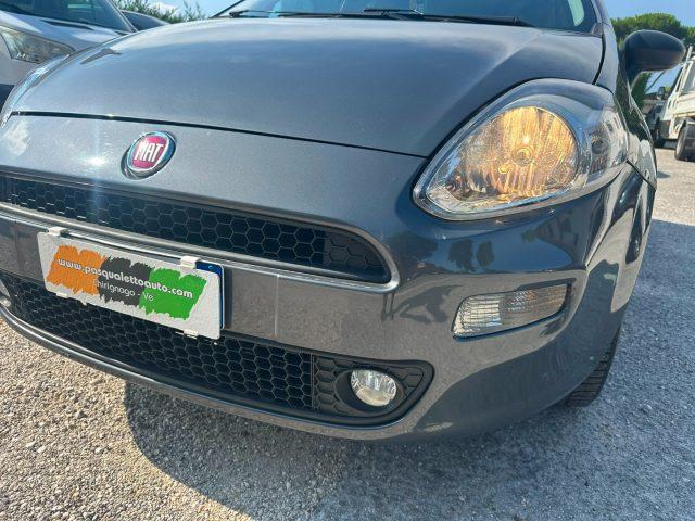 FIAT Punto 1.2 8V 5 porte Street