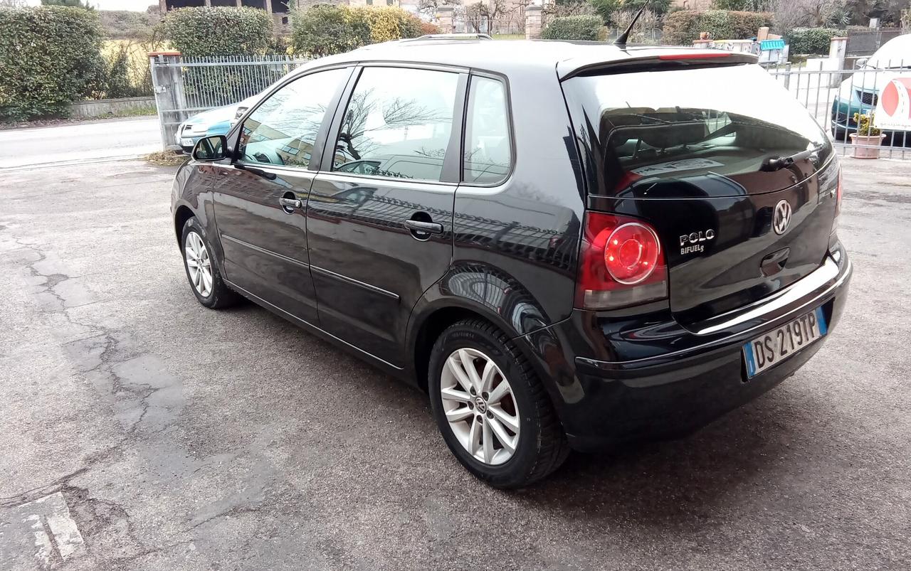 Volkswagen Polo 1.4/80CV 16V 5p. Comfort. BiFuel G