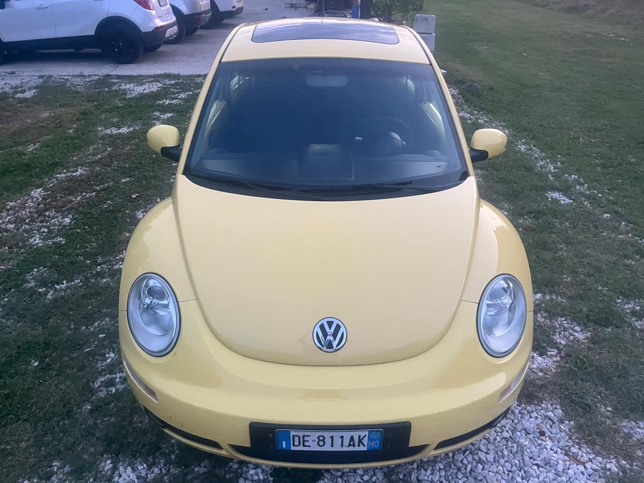 Volkswagen New Beetle 1.9 TDI 105CV
