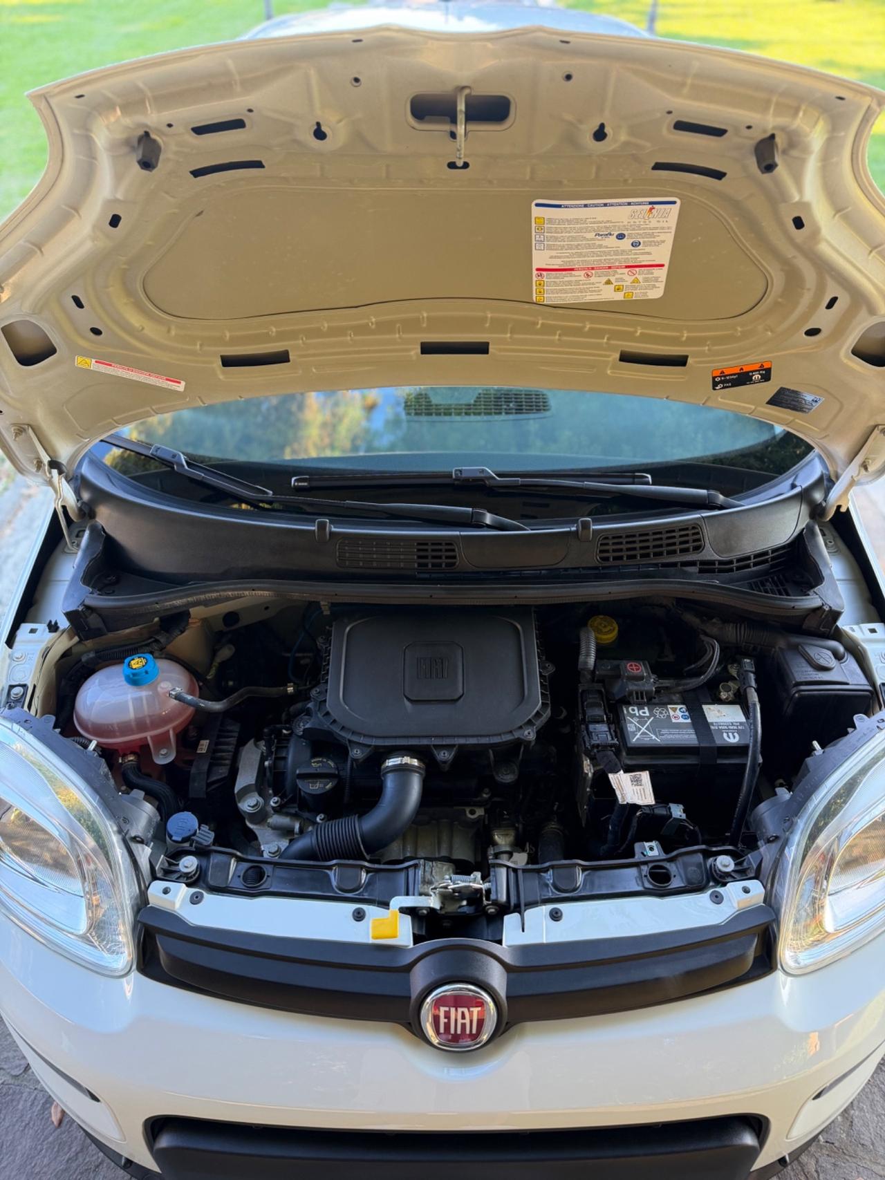 Fiat Panda 1.0 FireFly S&S Hybrid