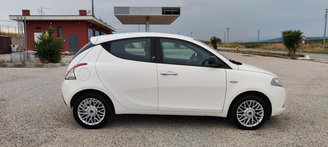 Lancia Ypsilon 1.3 MJT 16V 95 CV 5 porte S&S Platinum