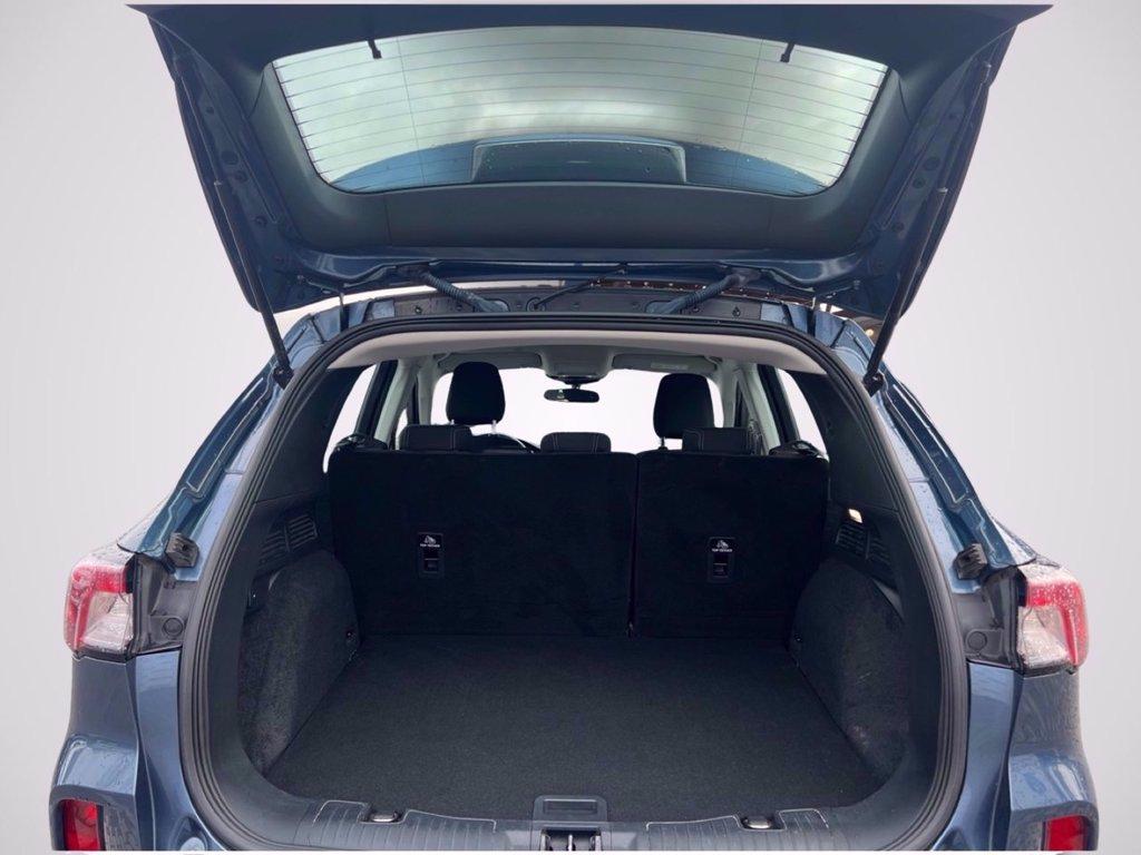FORD Kuga 1.5 ecoblue Connect 2wd 120cv del 2021