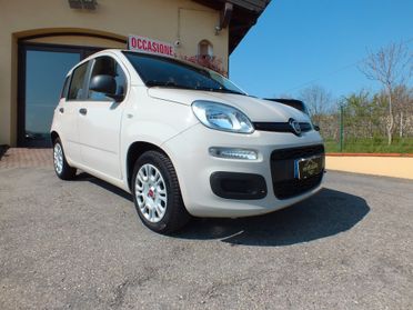 FIAT PANDA 1.2 70 CV EASY