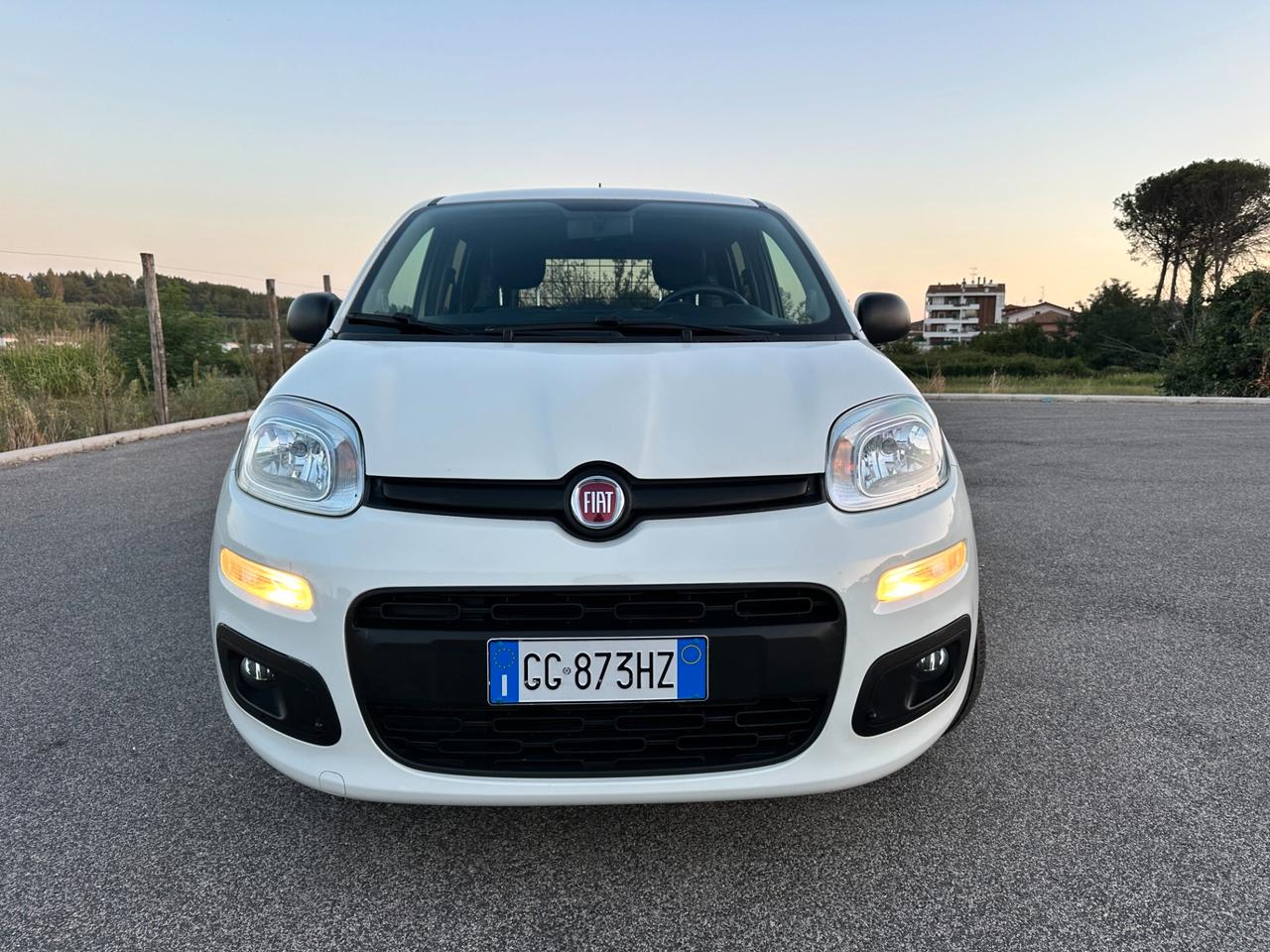 Fiat Panda 1.0 Hybrid Van Iva Deducibile Carplay