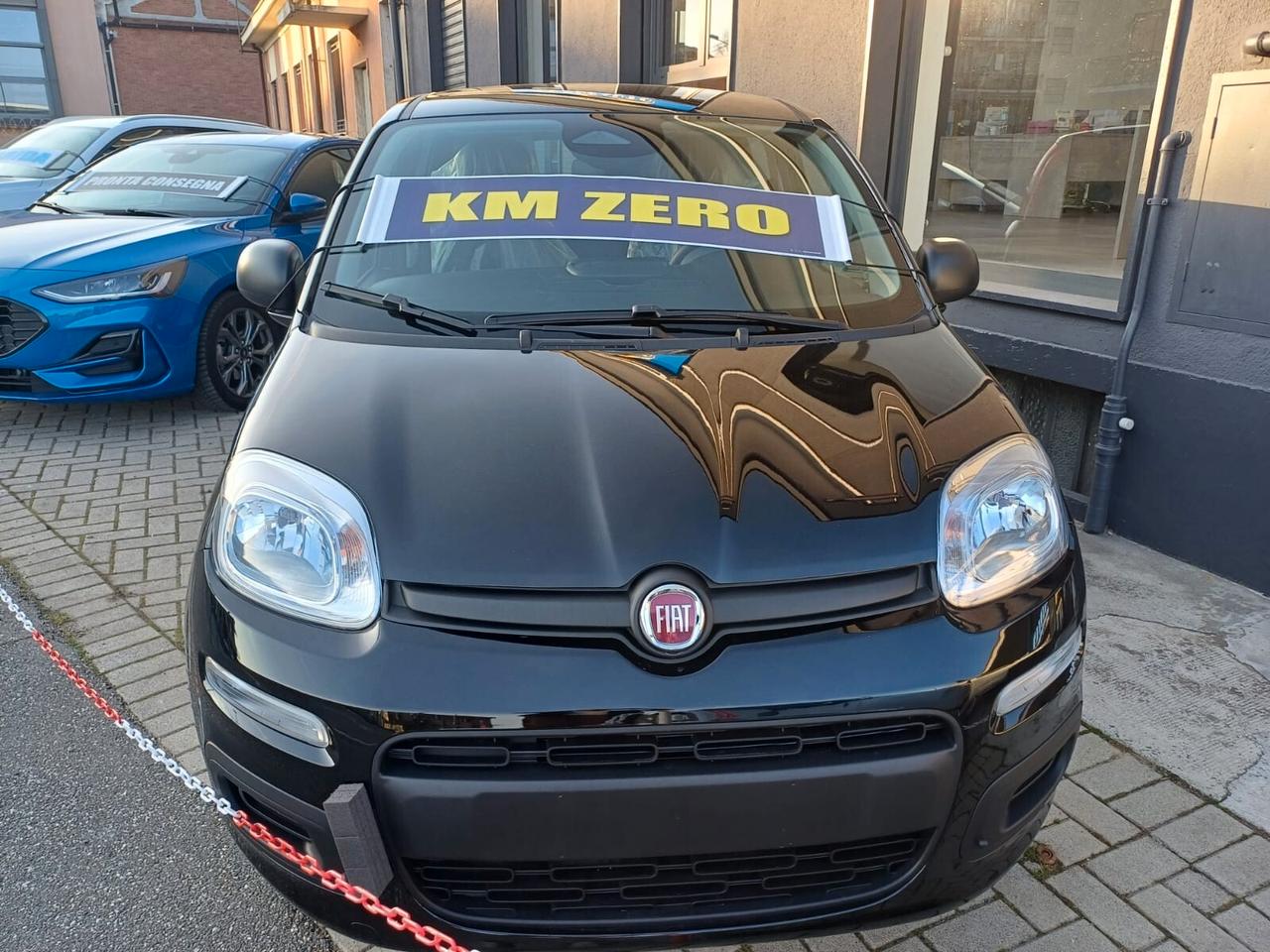 Fiat Panda Pandina 1.0 FireFly 65 CV Hybrid Icon