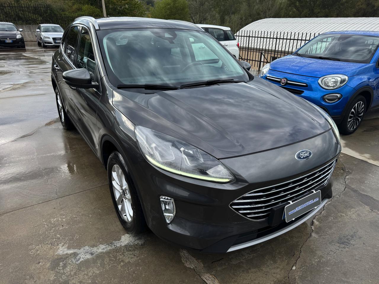 Ford Kuga 1.5 EcoBlue 120 CV 2WD Titanium