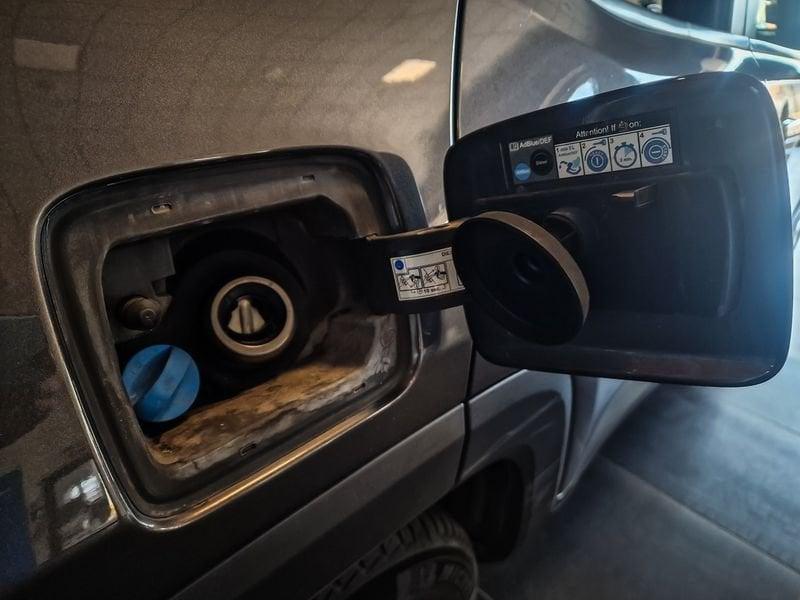 Jeep Renegade 2019 1.6 Multijet 120cv Business 2WD DDCT