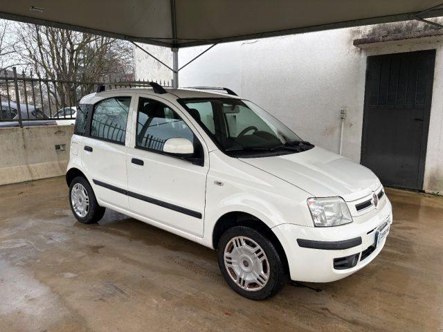 FIAT Panda 1.2 Dynamic BENZ/METANO OK NEOPATENTATI FARI FENDI