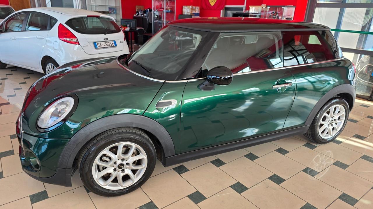 Mini 1.5 One D
