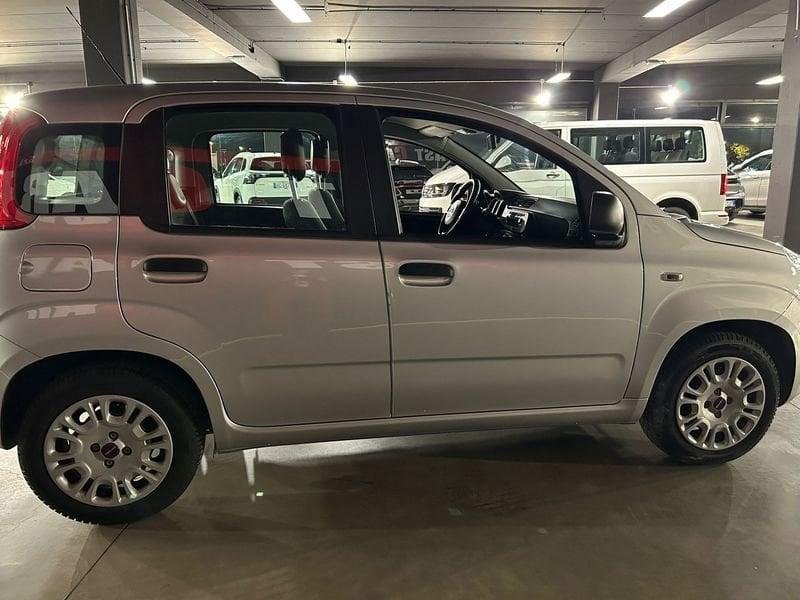 FIAT Panda 1.2 69cv E6d-Temp Easy Power