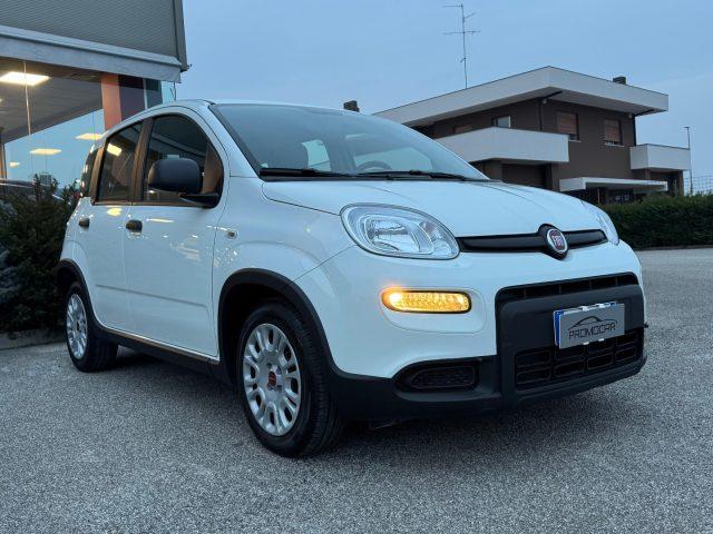 FIAT Panda 1.0 FireFly S&S HYBRID *UNIPROP*SENSORI*NEOPAT*