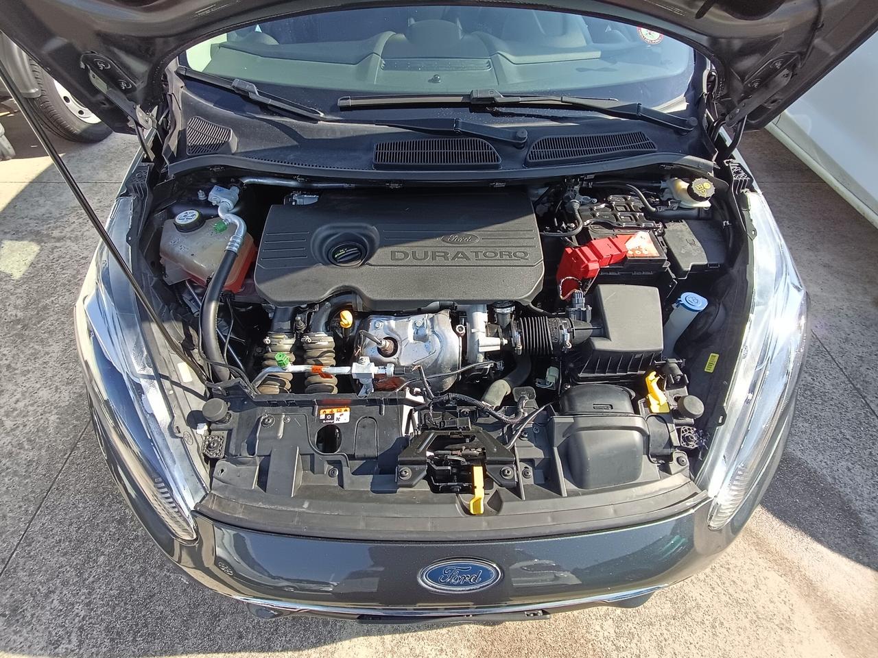 Ford Fiesta 1.5 TDCi 75CV 5 porte Business