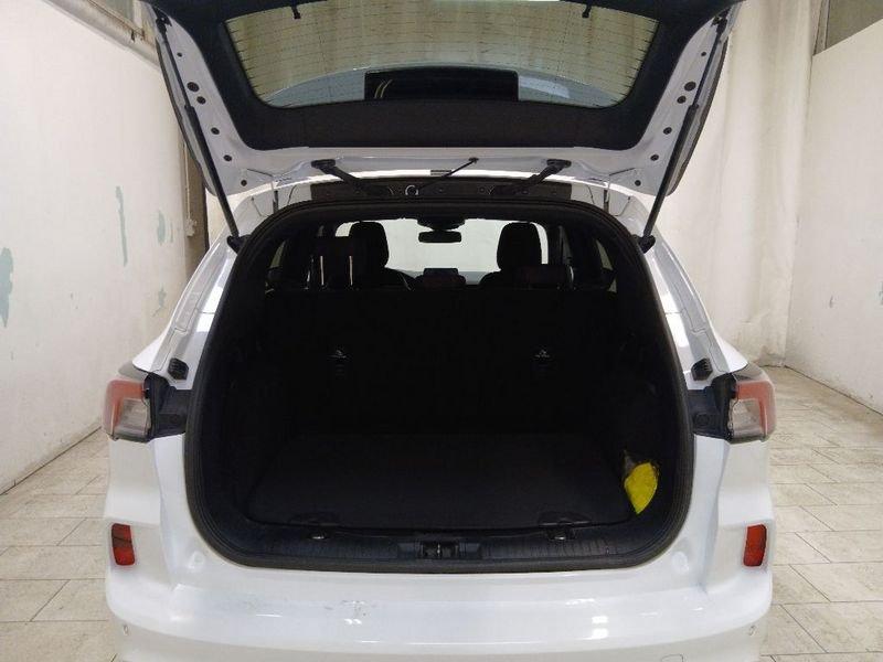 Ford Kuga 1.5 ecoblue ST-Line 2wd 120cv auto