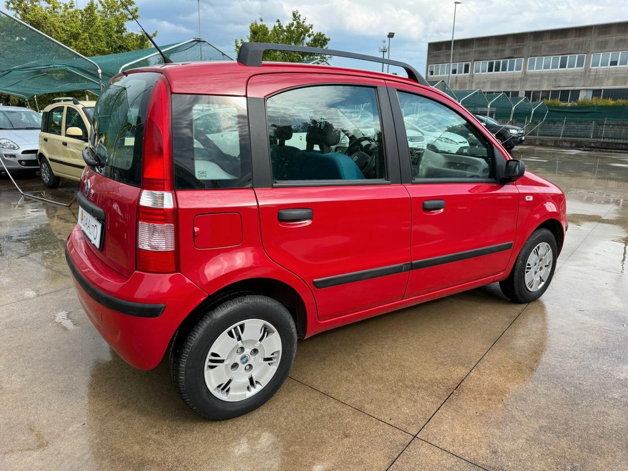 Fiat Panda 1.2 Dynamic clima TAGLIANDATA