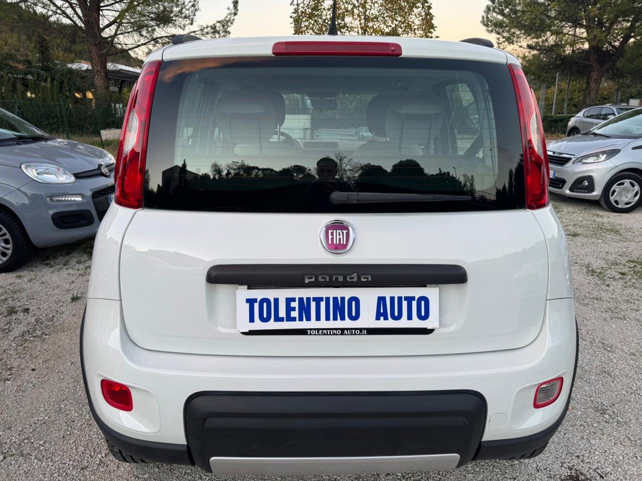 Fiat Panda 1.3 Multijet 75Cv S&S 4x4