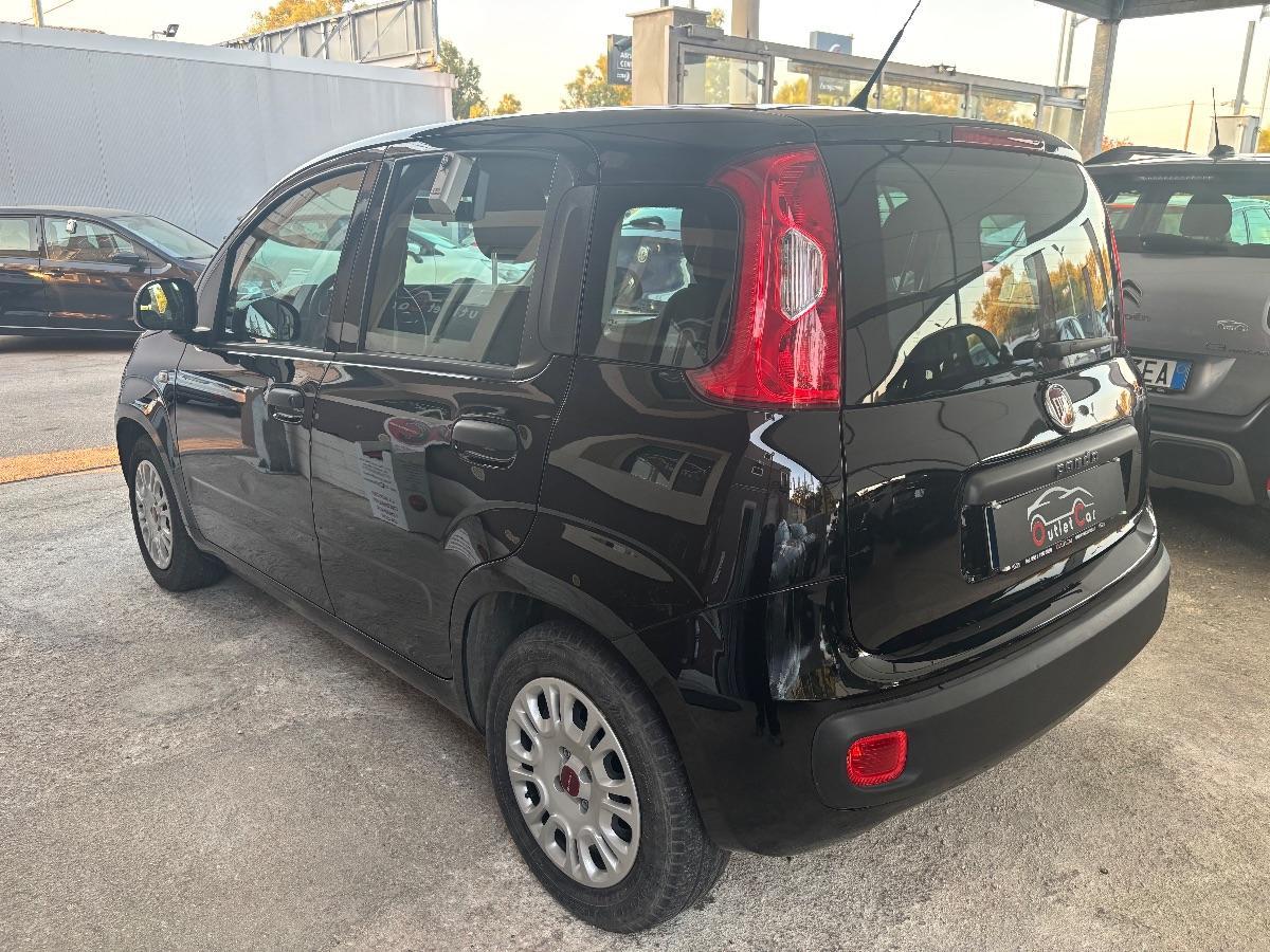 FIAT - Panda - 1.2 Easy