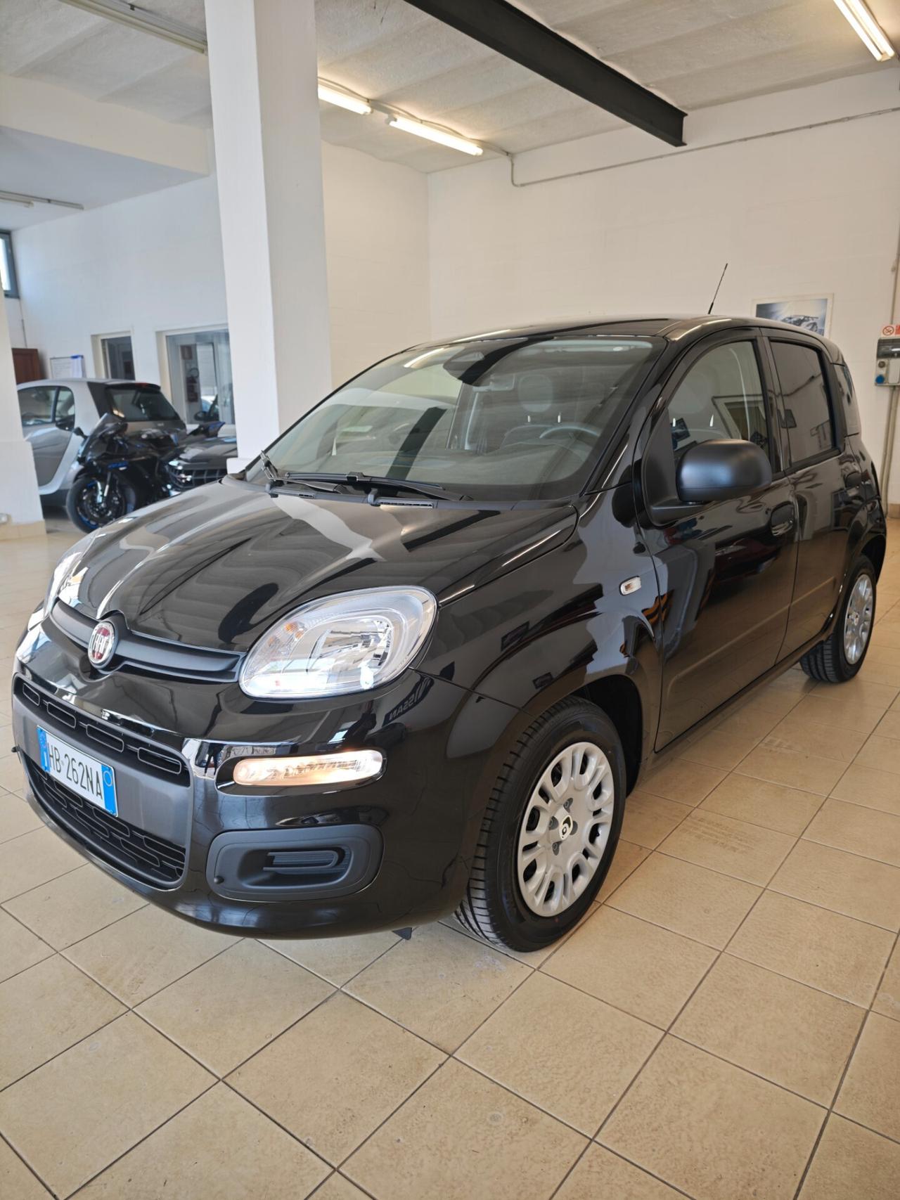 Fiat Panda 1.0 Hybrid Icon 25' km0