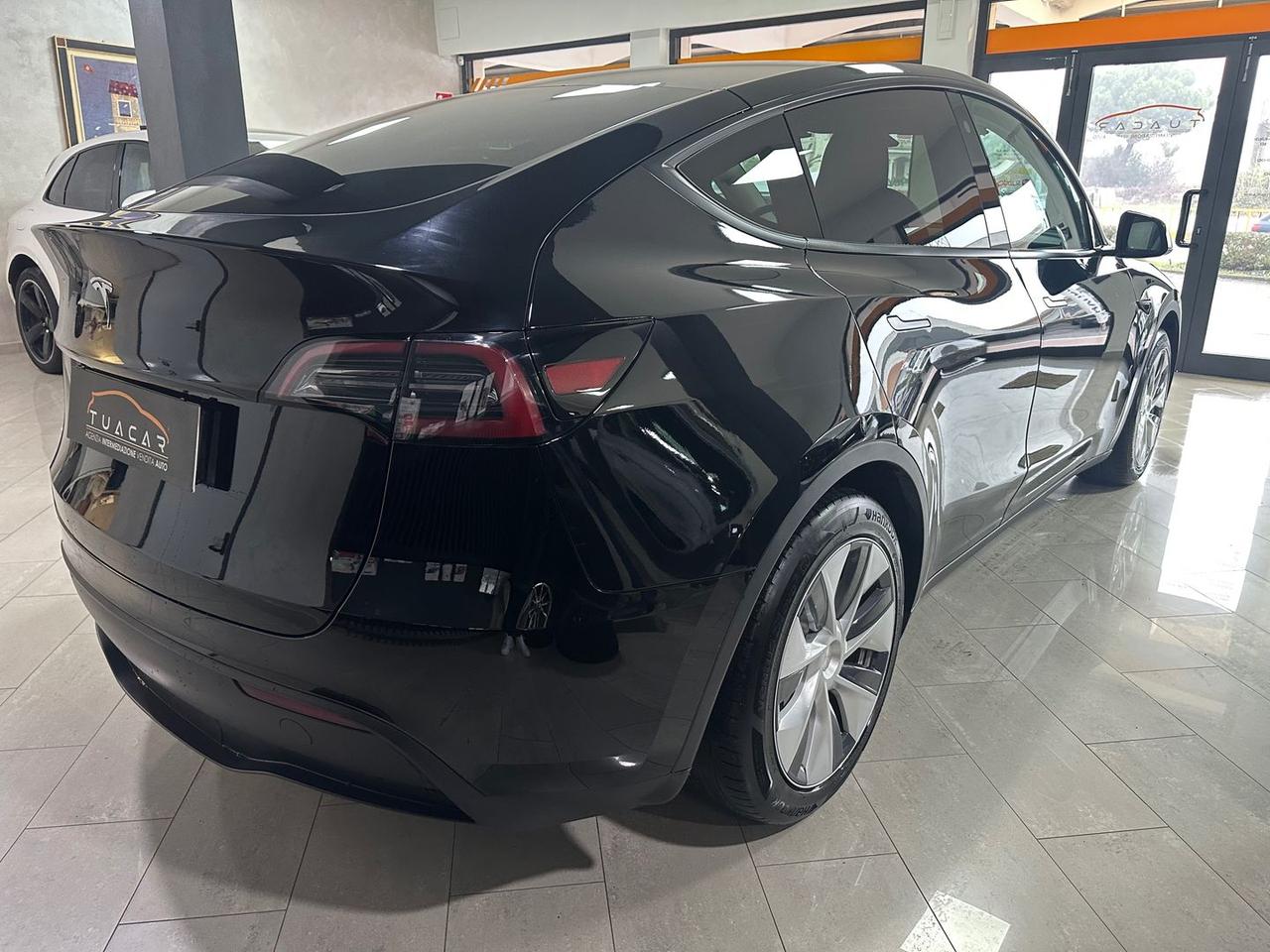 Tesla Model Y STANDARD RANGE SINGLE MOTOR RW #8363