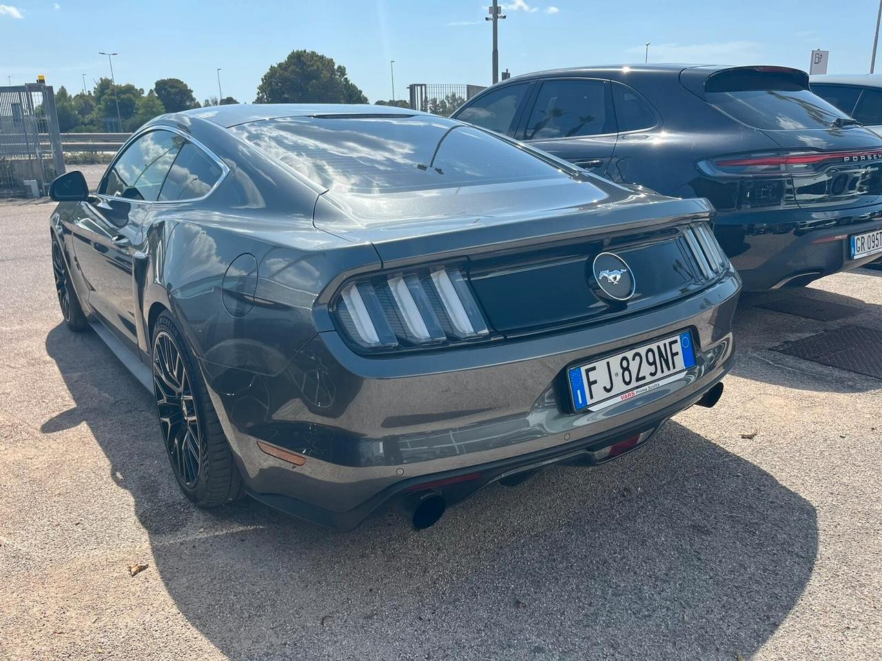 Mustang SHELBY Line