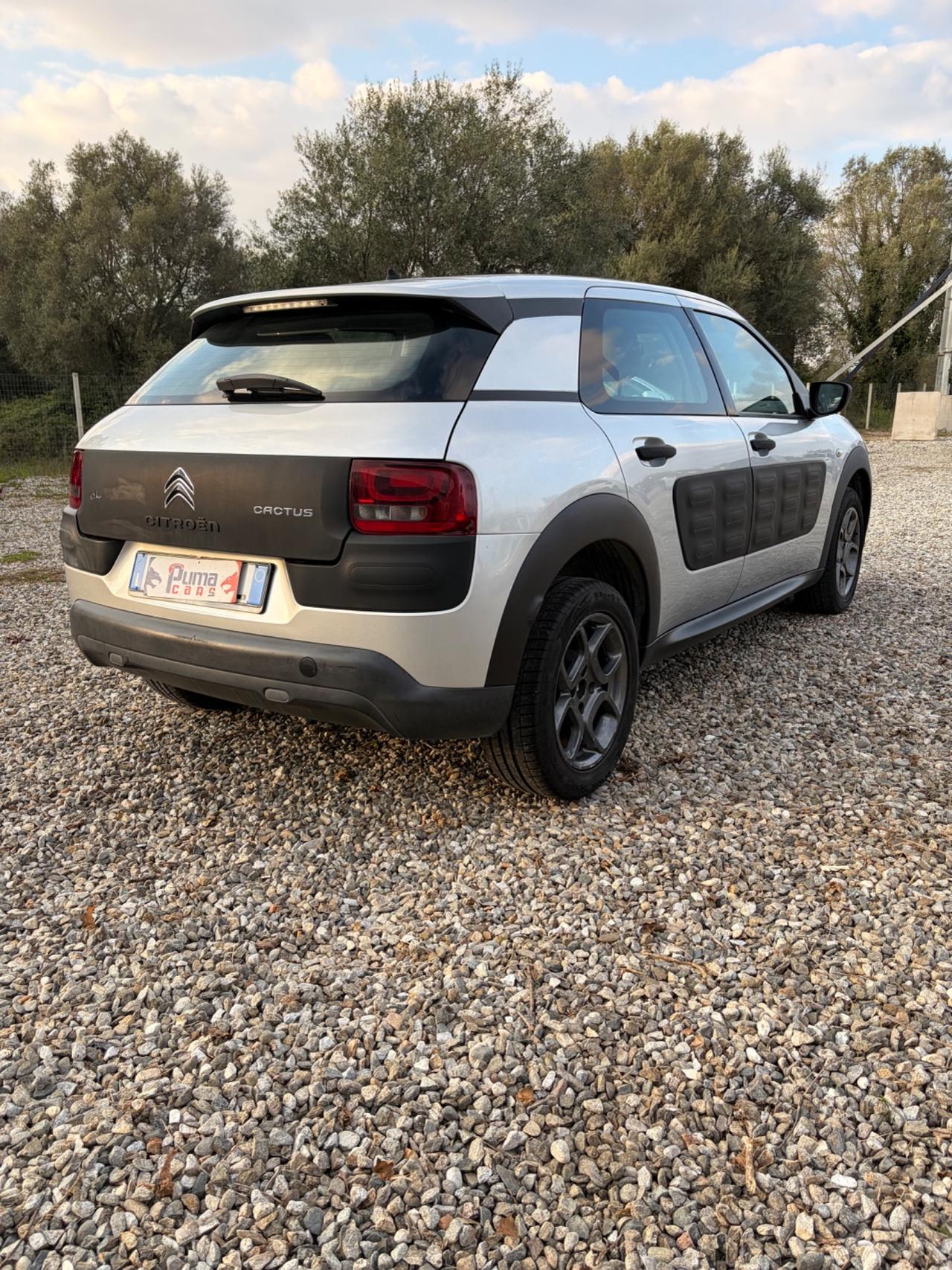 Citroen C4 Cactus BlueHDi 100 Shine
