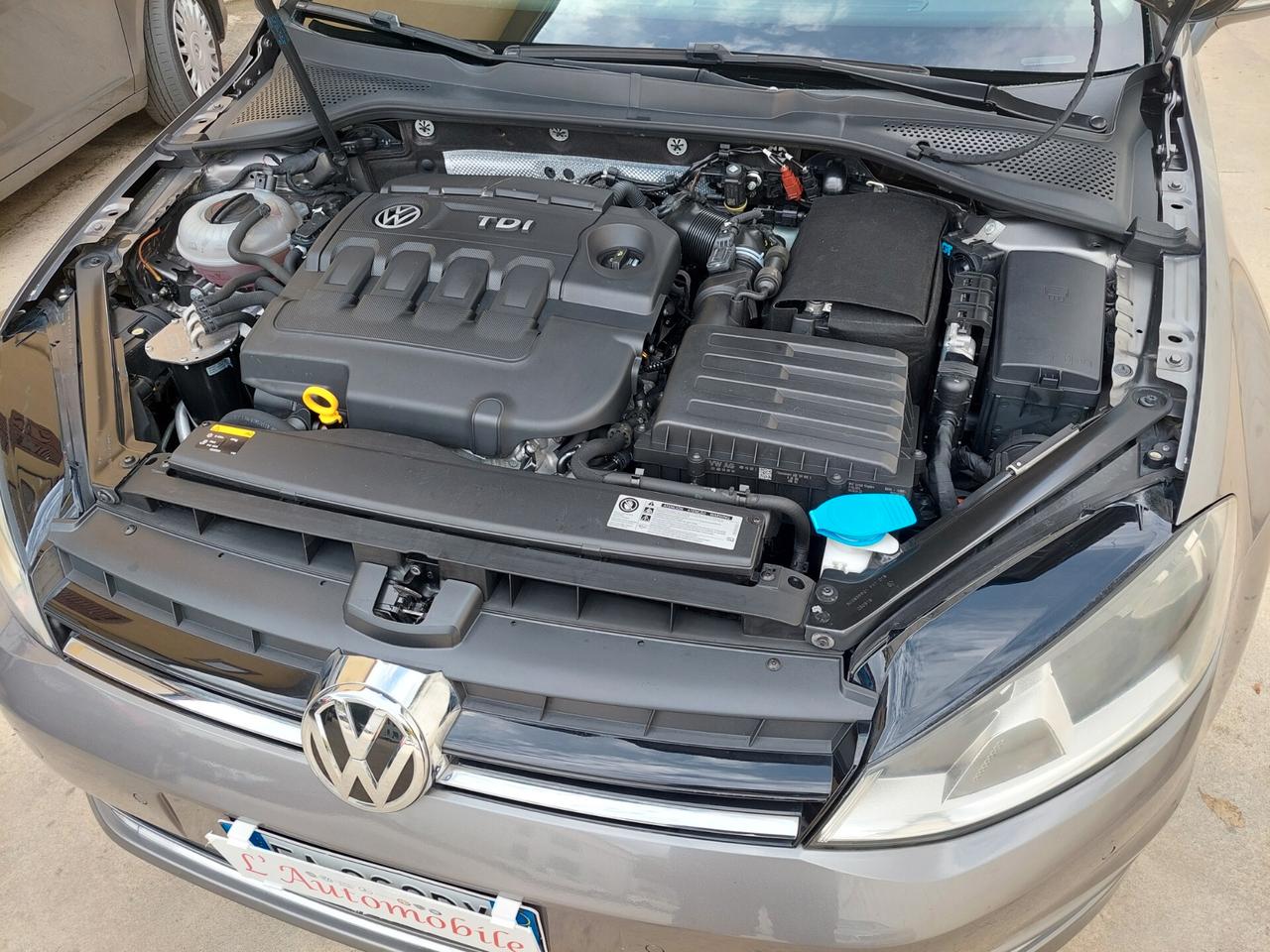 Volkswagen Golf 1.6 TDI 110 CV 5p. Highline BlueMotion Technology