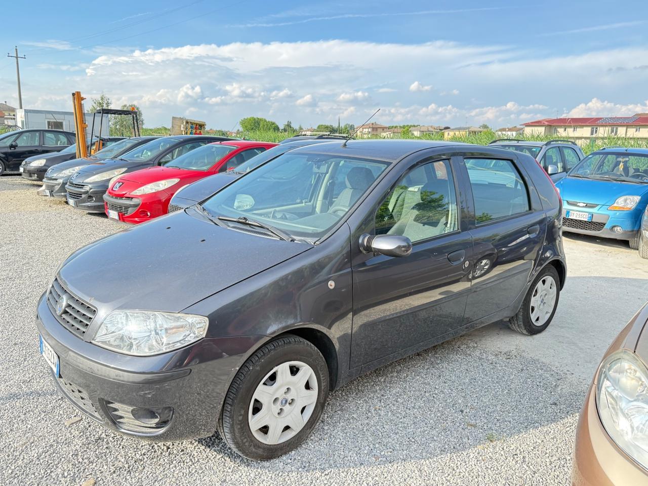 Fiat Punto 1.2 5 porte Dynamic