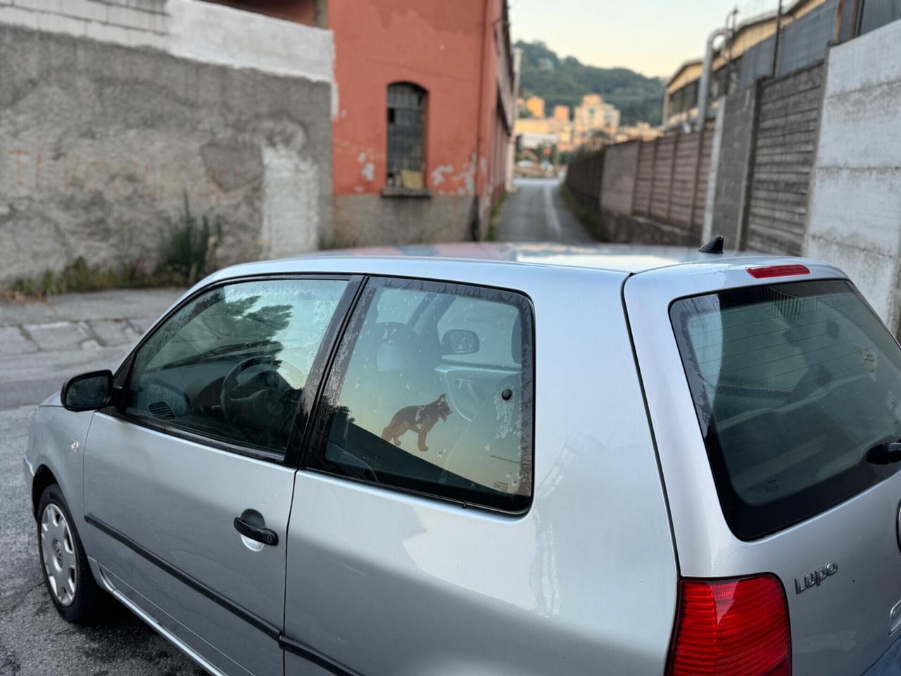 Volkswagen Lupo 1.4 cat Trendline