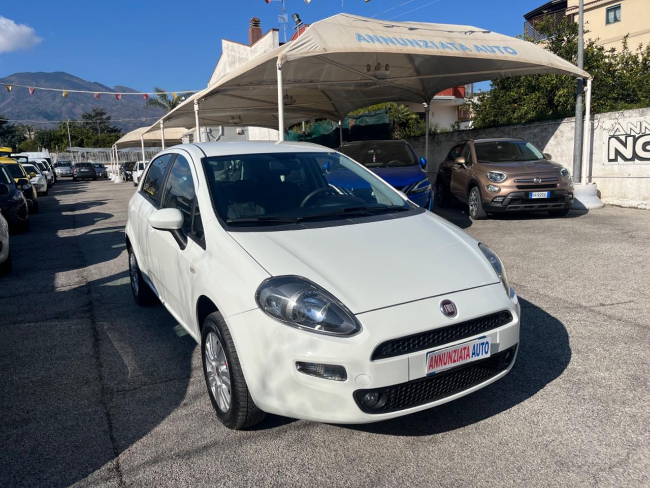 Fiat Punto 1.4 8V 5 porte Natural Power