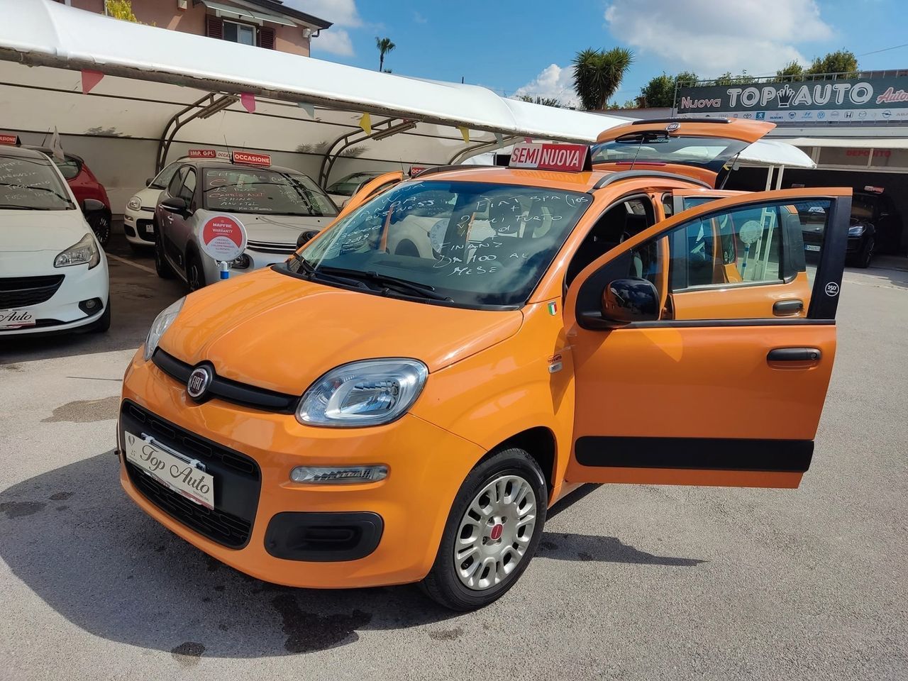 Fiat Panda 1.2 Easy GARANAZIA KM30000 2ANNI FURTO OMAGGIO