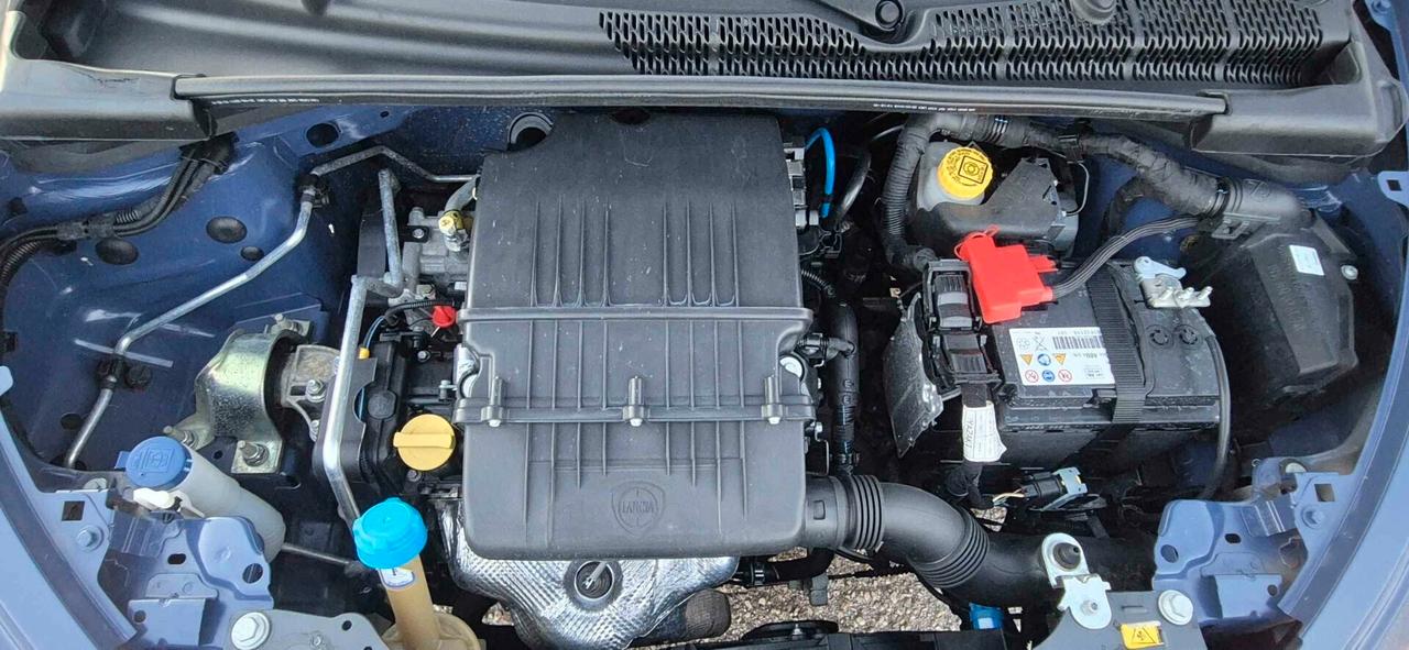 Lancia Ypsilon 1.2 69 CV 5 porte Elefantino Blu km 13732