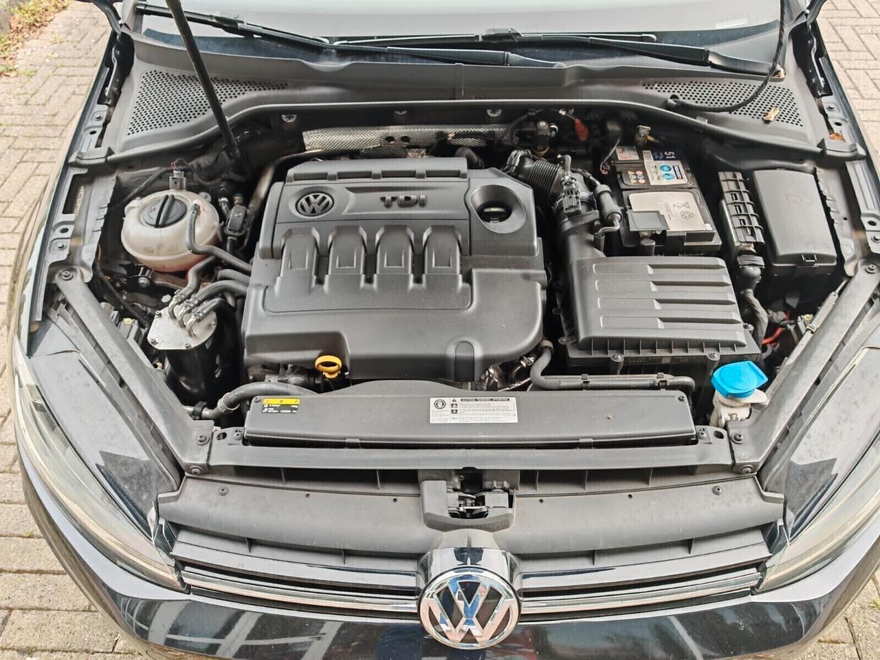 Volkswagen Golf Variant 1.6 TDI 115 CV DSG Executive BlueMotion Tech.