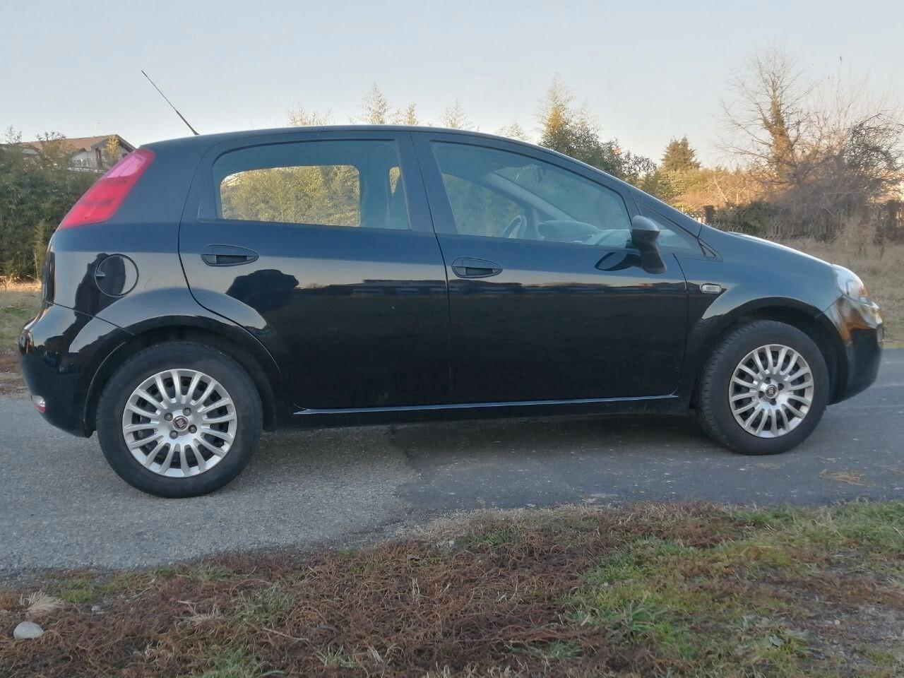 Fiat Punto 1.2 8V 5 porte Street Unico Proprietario