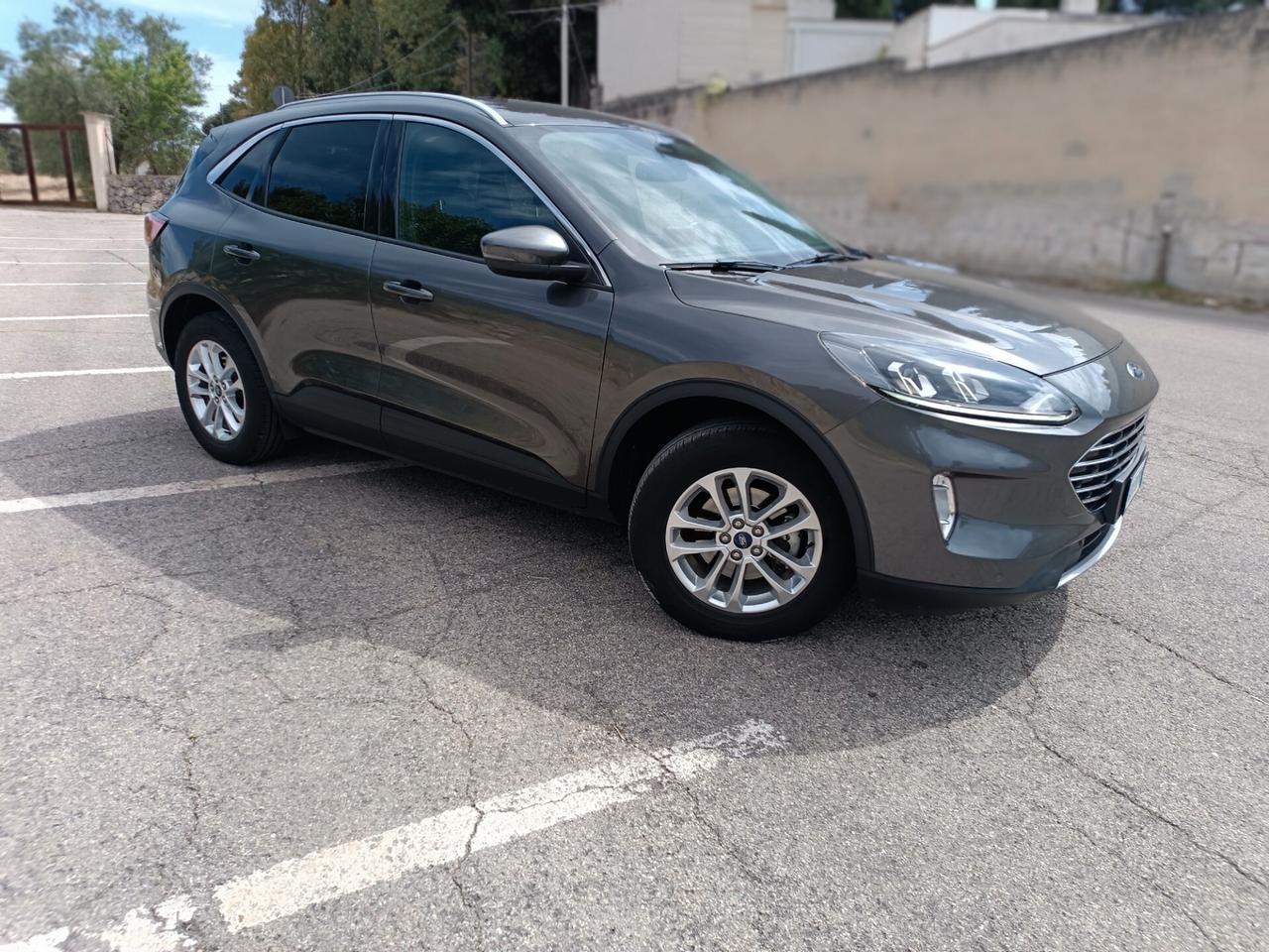 Ford Kuga 1.5 EcoBlue 120 CV aut. 2WD Titanium Business