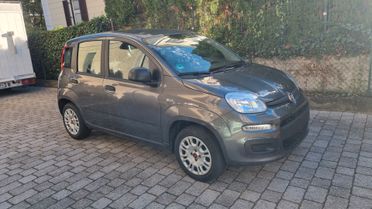 Fiat Panda 1.2 69CV 10/2018 Km 21000 neopat