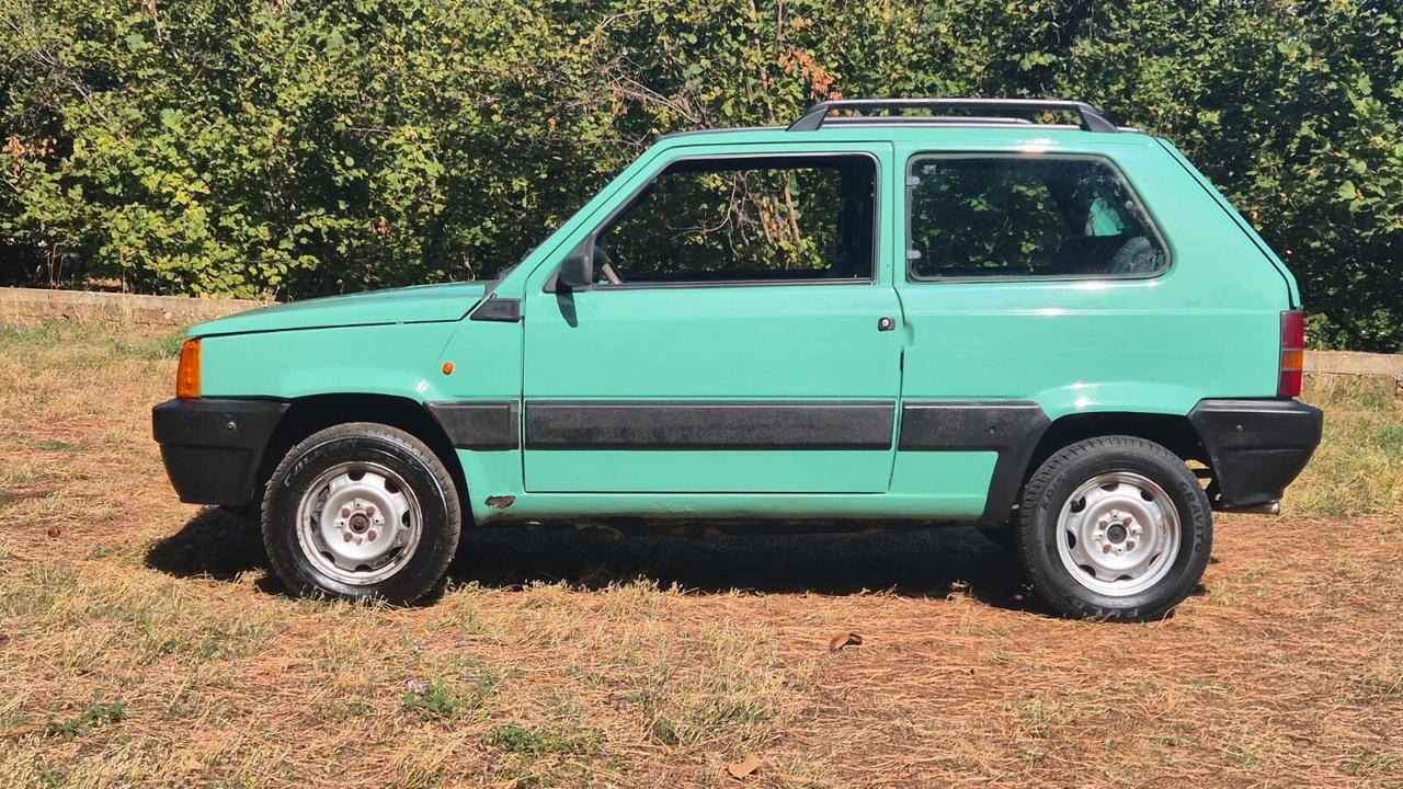 Fiat Panda 1100 i.e. cat 4x4 Trekking 2000 LEGGI TESTO
